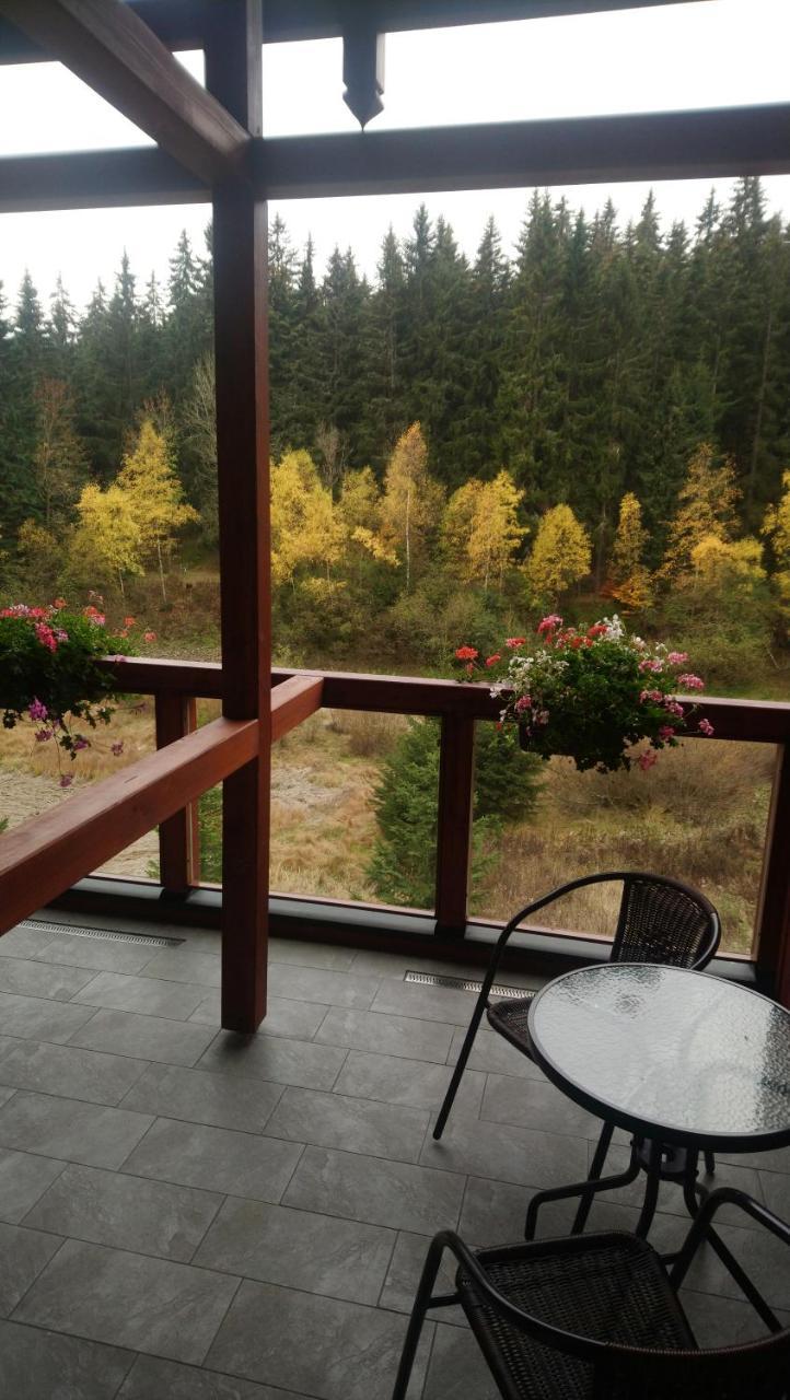 Jezirko Lesni Restaurant & Penzion Яхимов Экстерьер фото
