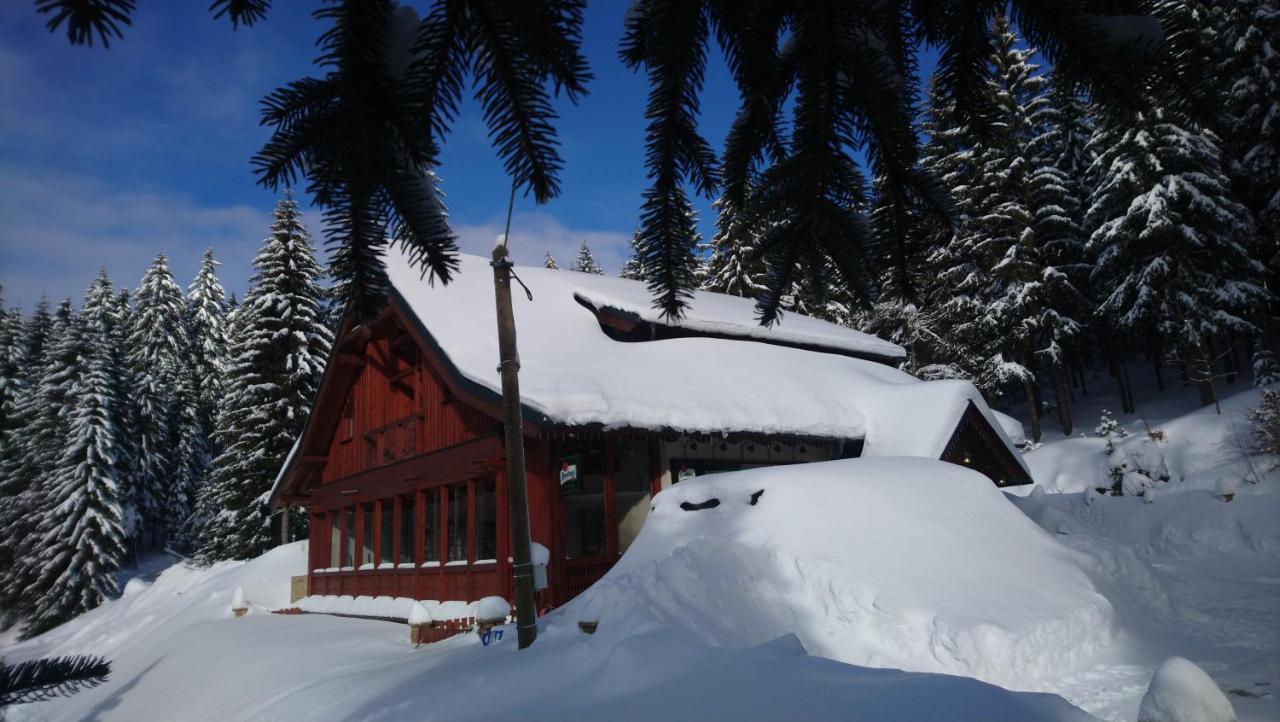 Jezirko Lesni Restaurant & Penzion Яхимов Экстерьер фото